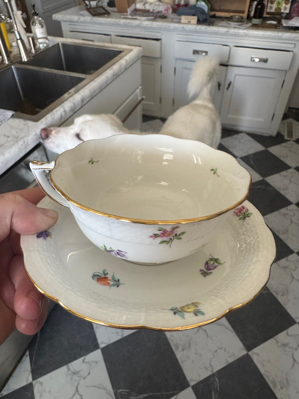 Herend cup and saucer